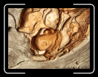 1.Mai-Ausflug 045 * 2848 x 2136 * (3.07MB)